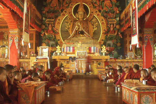 Volunteer in Monastery